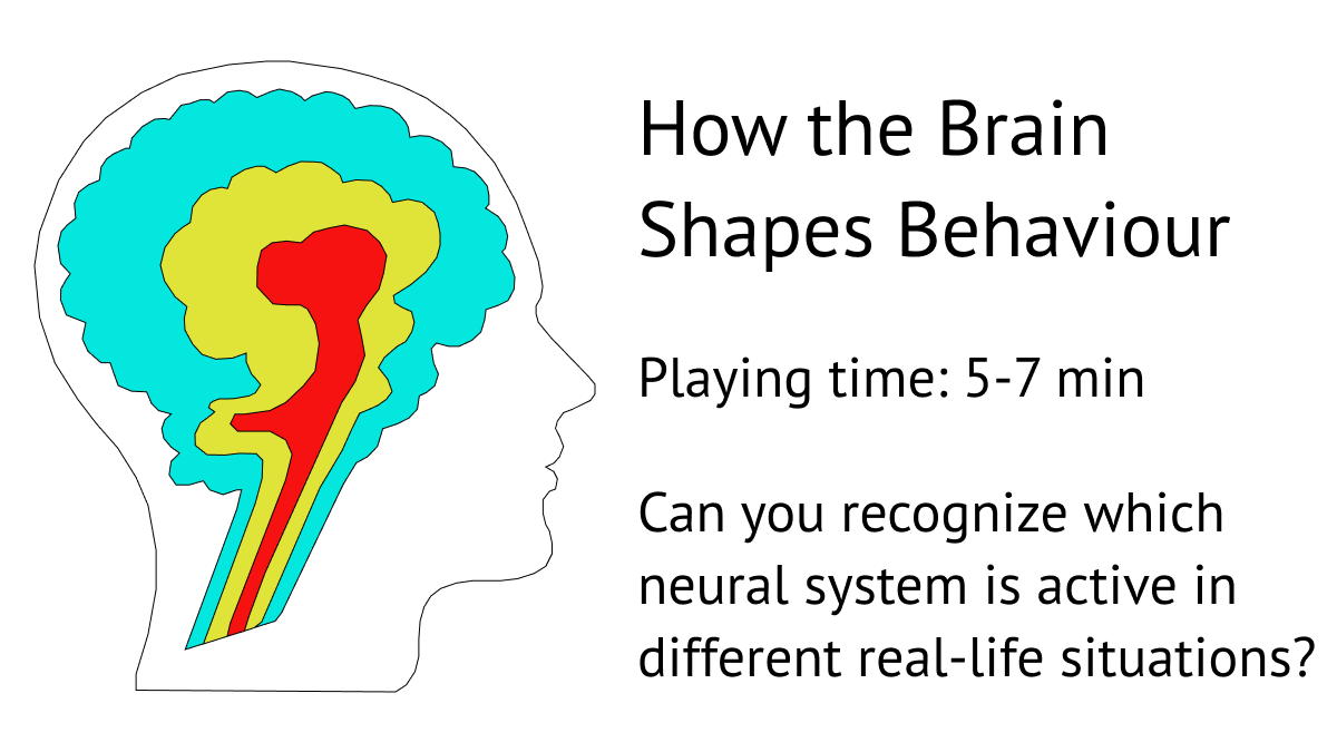 How the Brain Shapes Behavior